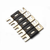 5 PCS 300A Gold-plated Large Forkbolt Car ANL Fuse, 300A