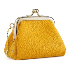 Small Clip Locking Coin Purse