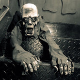 Halloween Party Essentials Skull Collection Crawling Zombie Ghost Skull, Ghost Skull