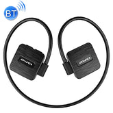 IP6D1255B.jpg@651bf27358d66faf8f2e7dffd82acedd