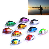 HENGJIA 10 PCS 3cm/1.5g Luya Rock Fishing Lures Bait Bionic Kit with Plastic Box, Box014