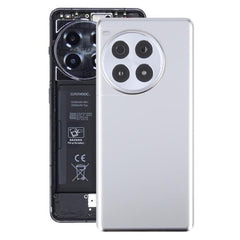 For OnePlus Ace 3 Pro PJX110 Original Glass Battery Back Cover with Camera Lens, For OnePlus Ace 3 Pro (Original)
