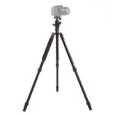 Triopo MT-2504C Adjustable Portable Aluminum Tripod with NB-1S Ball Head for Canon Nikon Sony DSLR Camera, MT-2504C (Black), MT-2504C (Gold)