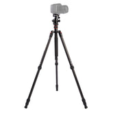 Triopo GT-2504X8.C Adjustable Portable Carbon Fiber Tripod with B-1 Aluminum Ball Head for Canon Nikon Sony DSLR Camera, GT-2504X8.C (Black), GT-2504X8.C (Gold)