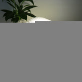 FS-LED01 500 lumens , wooden Material