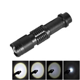 2200 LM Mini Telescopic