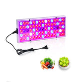 25W 75LEDs Full Spectrum Plant Lighting Fitolampy For Plants Flowers Seedling Cultivation Growing Lamps LED Grow Light AC85-265V, US, EU