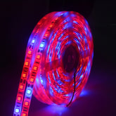 5m 300 LEDs SMD 5050 Full Spectrum LED Strip Light Fitolampy Grow Lights for Greenhouse Hydroponic Plant, Waterproof