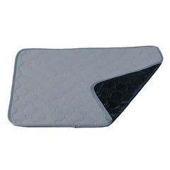 Car Pet Injection Pad Waterproof Pad Cat Dog Sofa Waterproof Diapholic Carpet Water Absorbing Pad, 2 PCS 50x40cm, 60x45cm, 67x50cm, 100x67cm, 100x135cm