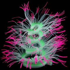 Aquarium Fish Tank Landscaping Decoration Silica Gel Simulation Software Coral Fluorescent Anemone, Size:, 50cm, 75cm