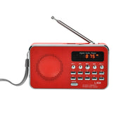 L-938 MP3 Audio Player FM Radio Support SD MMC Card AUX-IN Earphone-out, Blue, Red, Pink, White, Black