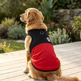 Color Block Dog Vest With Paw Print, Breathable Mesh Pet Harness Vest With Leash Attachment, XS, S, M