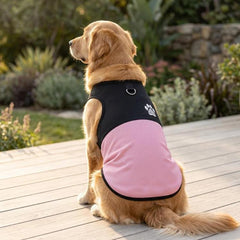Color Block Dog Vest With Paw Print, Breathable Mesh Pet Harness Vest With Leash Attachment, XS, S, M