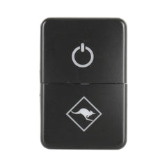 TS-202 For Toyota Blue-green Light Car Small Dual Control Switch with Lock, with Lock 3