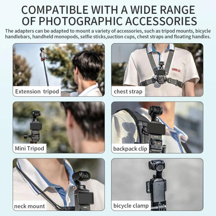 DOP0879B_7.jpg@79b865db456381ff36798c8f334e66f4