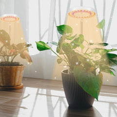10W 48 LEDs Succulent Plant Grow Fill Light, Angel Ring, Bee, Round Tube