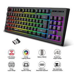 HXSJ L100 87 Keys RGB Backlit Film 2.4G Wireless Keyboard