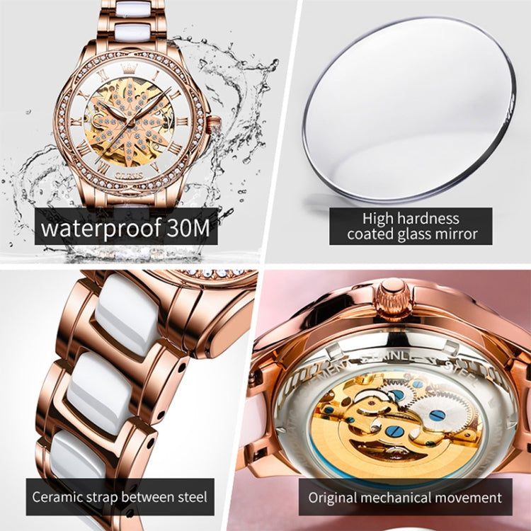 OLEVS 6681 Women Multifunctional Hollow Waterproof Mechanical Watch