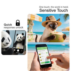 EDA006919718_3.jpg@e0a1477821253dd75e6a064bbace8e56