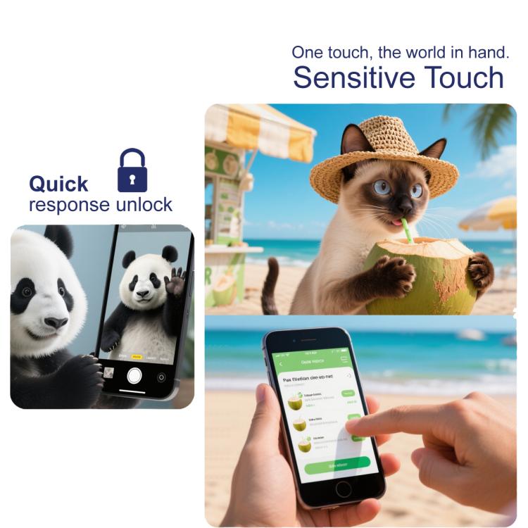 EDA008514111_4.jpg@19ca1d22f690d81d7b1ca97c56ed87d1