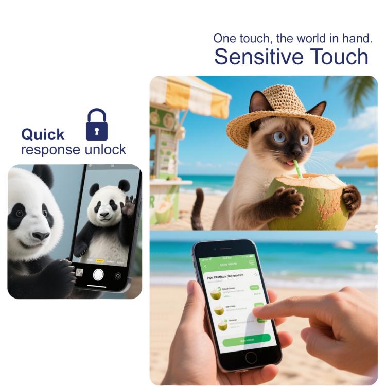 EDA008535802_7.jpg@53ff3bed8559dc4544cad9d2dfe81279