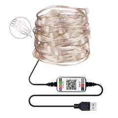 RGB USB  LED Copper Wire Light String Holiday Decoration Light String Bluetooth Mobile APP Control, 2m 20 LED, 5m 50 LED, 10m 100 LED, 12m 120 LED, 15m 150 LED, 20m 200 LED