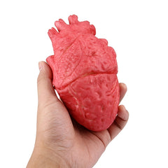 Popular Funny Halloween Props Fake Heart, Fake Heart
