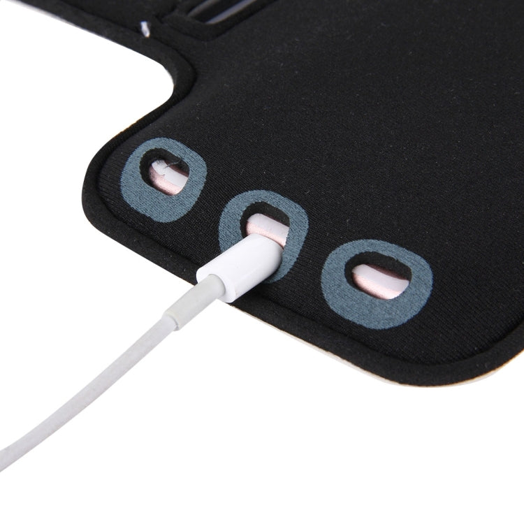 IP7P7100B_7.jpg@5d43543d954f6f8b40de3b40fae6040f