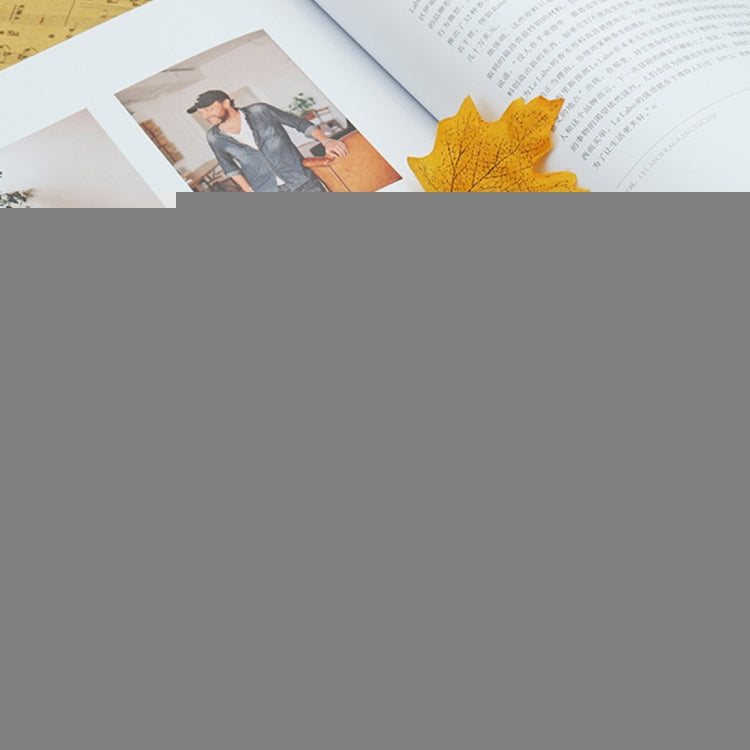 Swan SW24-12A 24-holes Double-sided Harmonica Beginner Polyphony Box Adult Children Beginners Performance, SW24-12A 24-holes Polyphonic Harmonica