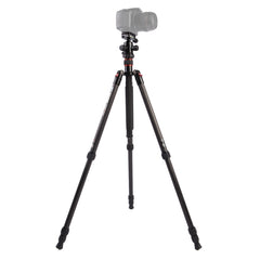 Triopo GT-2504X8.C Adjustable Portable Carbon Fiber Tripod with B-1 Aluminum Ball Head for Canon Nikon Sony DSLR Camera, GT-2504X8.C (Black), GT-2504X8.C (Gold)
