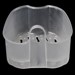 Cleaning Teeth Case Dental False Teeth Storage Box