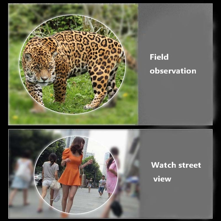 NIKULA 10x22 Low Light Level Visual Binoculars, 10x22