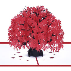 Three-Dimensional Maple Tree Greeting Card Birthday Greeting Card Red Maple Leaf 3d Card, Maple Tree Greeting Card