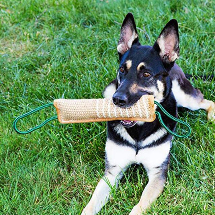 Dog Training Hemp Bite Stick Dog Bite Stick Dog Training Supplies, A5, A1, A2, A3, A4