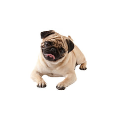3D Simulation Dog Car Stickers Rain-Proof Sunscreen Car Sticker Scratch Shaving Decoration Stickers, Style 1 Small, Style 2 Small, Style 3 Small, Style 4 Small, Style 5 Small, Style 1 Large, Style 2 Large, Style 3 Large, Style 4 Large, Style 5 Large