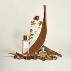 Cocoa Leaves Natural Plant Shooting Props Dry Flower Ornaments, 20-32 cm, 35-39 cm