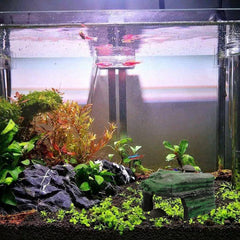 Resin Turtle Sunbed Climbing Table Stump Hideaway House Sunback Table, GT026, GT023, GT149, GT001, GT013S, GT013M