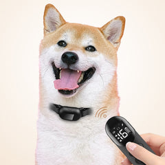 Smart Waterproof Shock Collar For Pets Remote Control Dog Training Device, For-One-Dog, For-Two-Dog