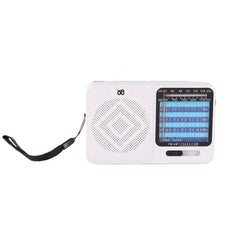 W-913 Portable Pointer Dual-Power Radio FM/AM/SW1-7 Multi-Band Radio