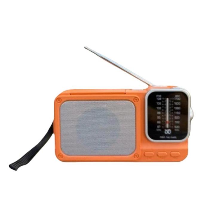 W-916 Portable Pointer Radio With Reading Light FM/AM Dual-Band Radio