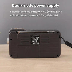 W-916 Portable Pointer Radio With Reading Light FM/AM Dual-Band Radio