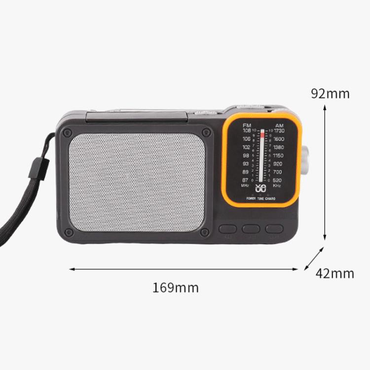 W-916 Portable Pointer Radio With Reading Light FM/AM Dual-Band Radio