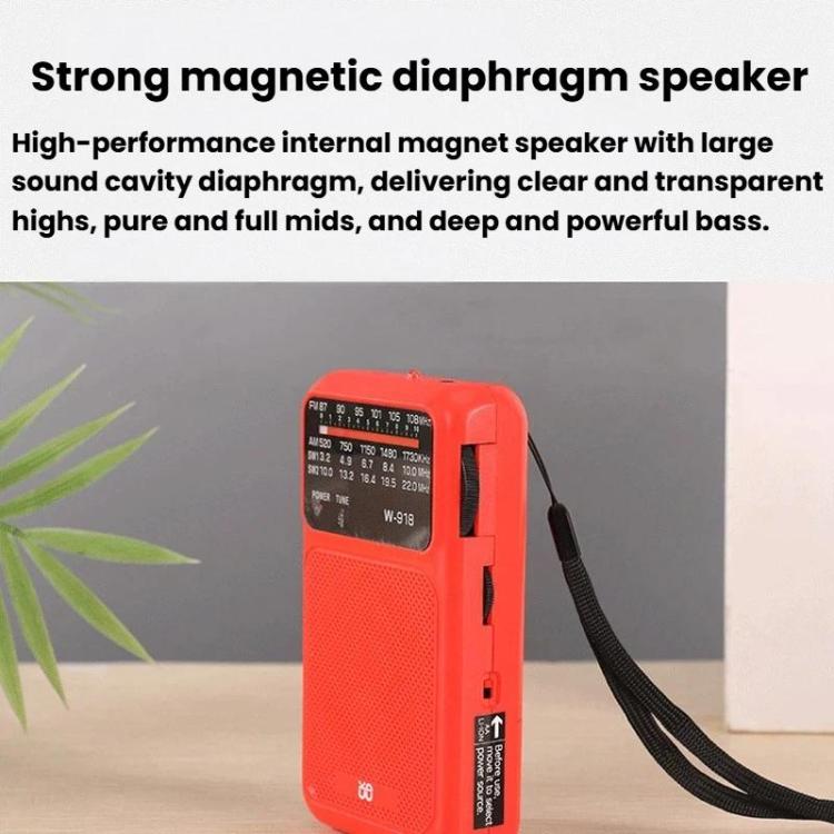 W-918 Pointer Dual-Power Radio FM/AM/SW Full-Band Radio