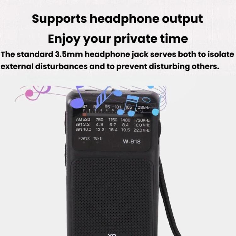 W-918 Pointer Dual-Power Radio FM/AM/SW Full-Band Radio