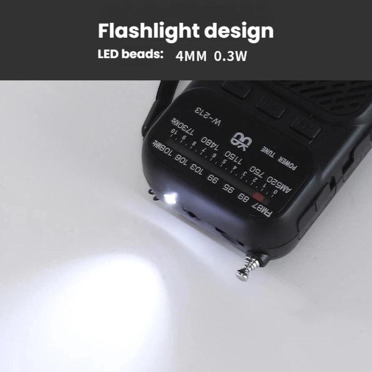 W-213 FM/AM Pointer Dual-Power Radio Portable Clip-On Radio With Flashlight