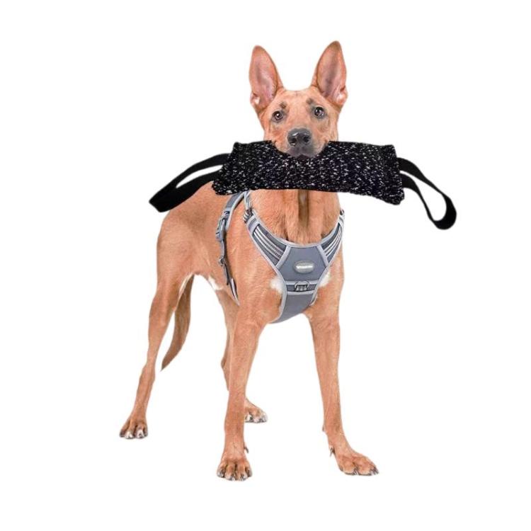 Pet Chew Toys Hemp Sticks Dog Training Supplies, 20cm Chew Toy, 30cm Chew Toy, 26cm Teething Pillow