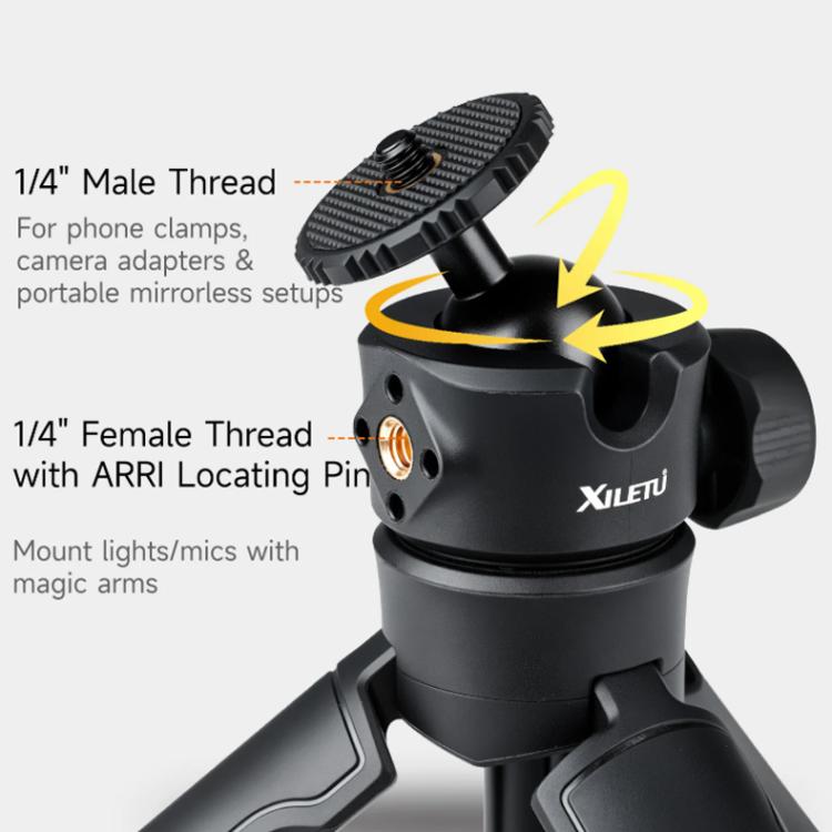 TBD06067551_B6.jpg@45714fcd5b3323d74f332509ce2b580d