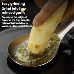LsCook Ginger Garlic Grinder Manual Home Use Ginger Masher, 430 Steel Large Spoon Grinder