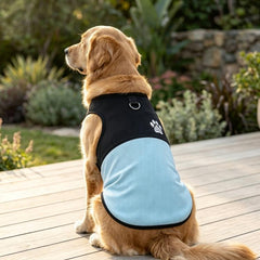 Color Block Dog Vest With Paw Print, Breathable Mesh Pet Harness Vest With Leash Attachment, XS, S, M