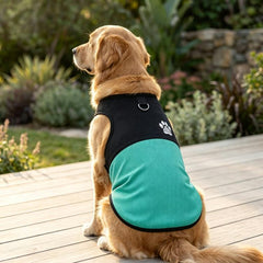 Color Block Dog Vest With Paw Print, Breathable Mesh Pet Harness Vest With Leash Attachment, XS, S, M